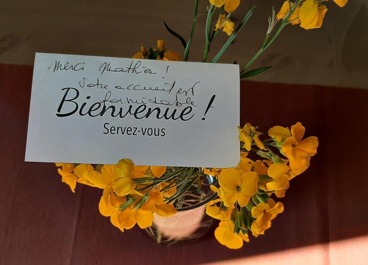 Le Moutardier : Chaleureux T2 Au Coeur De * Dijon